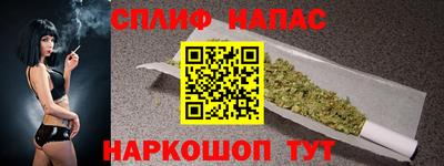 СК Тара