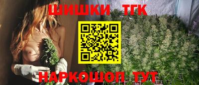СК Тара