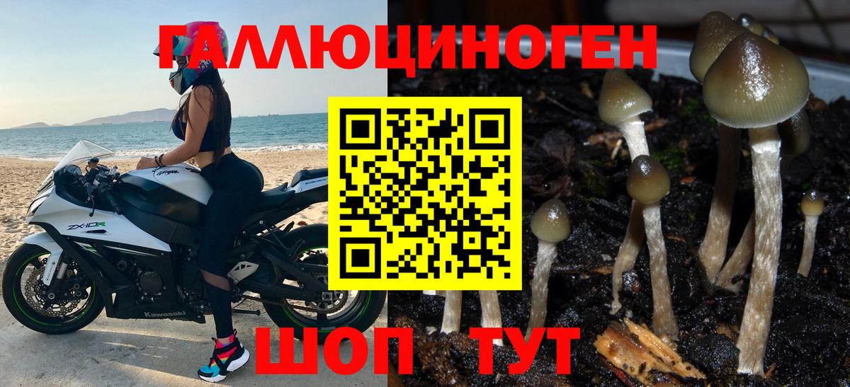Галлюциногенные грибы Cubensis Малоярославец
