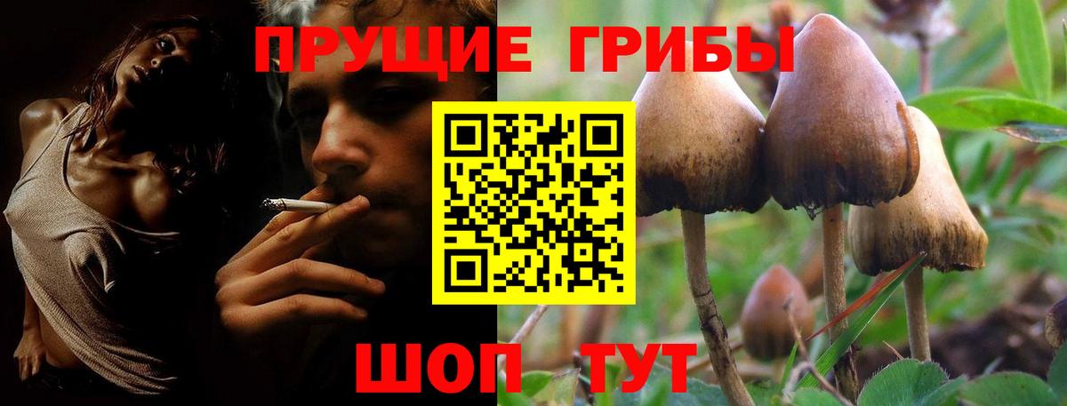 Галлюциногенные грибы мицелий  Вход с VPN  Малоярославец 